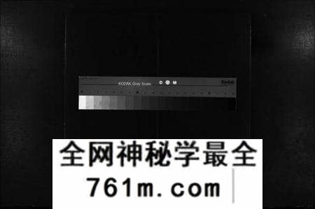湖北李氏族谱-李氏宗谱(别名：Li Shi Zong Pu).pdf电子版