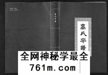 湖北高氏族谱-高氏宗谱[28卷,首1卷].pdf电子版