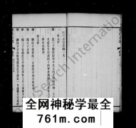 江苏徐氏族谱-新河徐氏宗谱 [10卷](别名：倪氏安仁续谱).pdf电子版