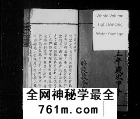 湖南岳氏族谱-岳氏五修族谱 [29卷,首4卷].pdf电子版