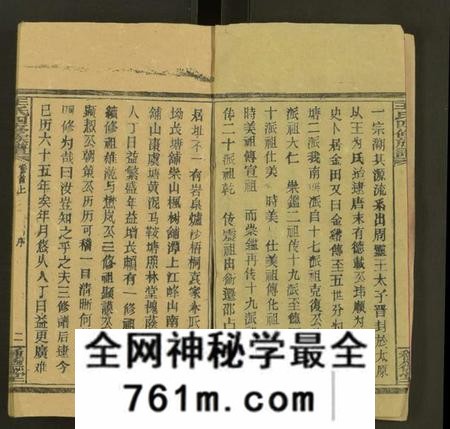 湖南王氏族谱-王氏四修族谱 [53卷,首3卷].pdf电子版