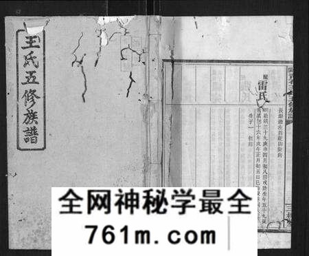 湖南王氏族谱-衡阳青石王氏五修族谱.pdf电子版