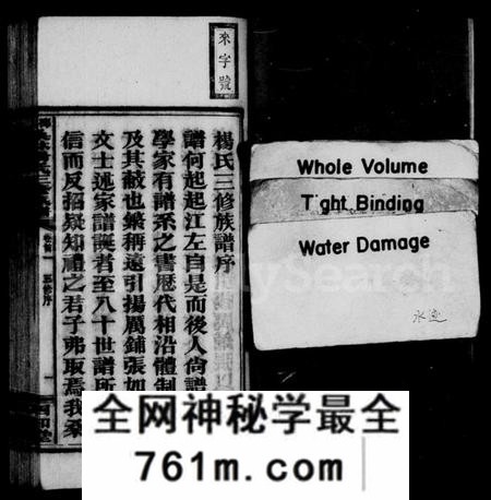 湖南杨氏族谱-桑林杨氏三修族谱 [13卷,首2卷].pdf电子版