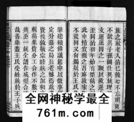 湖北王氏族谱-王氏宗谱 [10卷,首2卷](别名：Wang Shi Zong Pu、王氏宗谱).pdf电子版