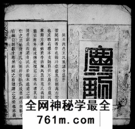 湖北王氏族谱-王氏宗谱 [16卷,及卷首](别名：王氏支谱).pdf电子版