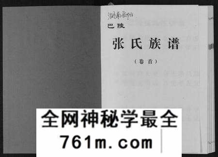 湖南张氏族谱-巴陵张氏族谱[12卷首1卷].pdf电子版