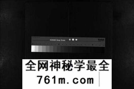 浙江陈氏族谱-浦阳厚仁陈氏宗谱 [残卷].pdf电子版