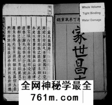 湖南袁氏族谱-桂阳袁氏族谱 [不分卷].pdf电子版