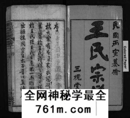 湖北王氏族谱-王氏宗谱 [10卷](别名：Wang Shi Zong Pu).pdf电子版