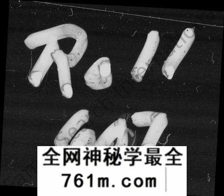 湖南谭氏族谱-衡山烧田谭氏九修族谱 [上中下三卷].pdf电子版