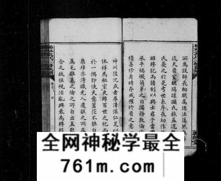 湖南袁氏族谱-杨林袁氏三修族谱 [14卷,首2卷,附录1卷].pdf电子版