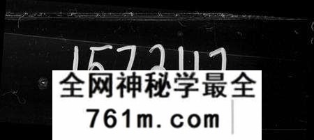 湖南罗氏族谱-罗氏八修族谱 [25卷].pdf电子版