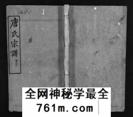 湖北唐氏族谱-唐氏宗谱 [残卷](别名：Tang Shi Zong Pu、唐氏宗谱).pdf电子版
