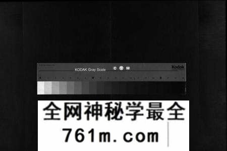 湖北陶氏族谱-陶氏宗谱 [4卷,首2卷](别名：Tao Shi Zong Pu).pdf电子版