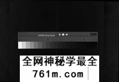 湖北金氏族谱-麻城金氏续修宗谱 [44卷,首11卷](别名：麻城浮桥金氏宗谱、Ma Cheng Jin Shi Xu Xiu Zong Pu、金氏宗谱).pdf电子版