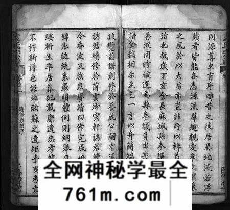 湖北袁氏族谱-袁氏宗谱 [16卷,首2卷](别名：Yuan Shi Zong Pu).pdf电子版