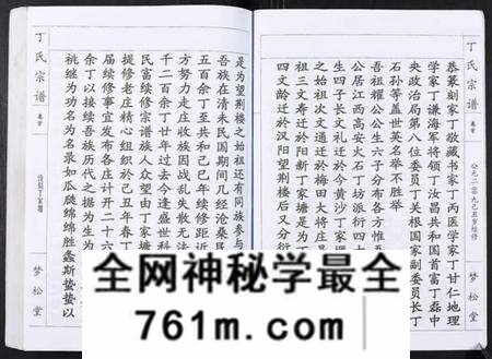 湖北丁氏族谱-丁氏宗谱[24卷首1卷].pdf电子版