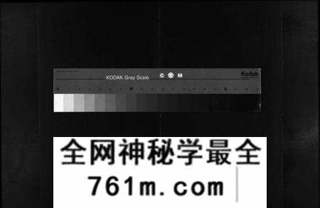 湖北王氏族谱-王氏宗谱 [12卷,首3卷](别名：Wang Shi Zong Pu).pdf电子版