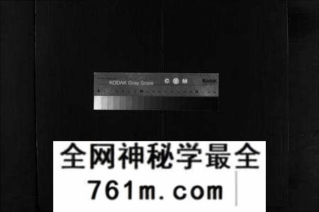 湖北陈氏族谱-陈氏族谱[40卷,首1卷](别名：Chen Shi Zu Pu、陈氏族谱、义陈宗谱).pdf电子版