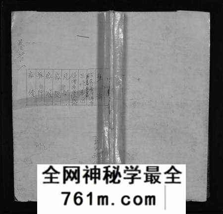 湖北王氏族谱-王氏宗谱 [不分卷](别名：王氏续修宗谱、Wang Shi Zong Pu).pdf电子版