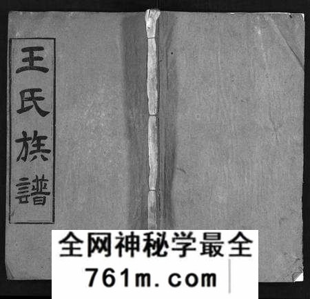 湖北王氏族谱-王氏族谱[21卷,首4卷](别名：Wong Shi Zu Pu、沙溪王氏族谱).pdf电子版