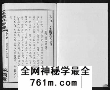 湖北王氏族谱-王马二宗谱[21卷首1卷].pdf电子版