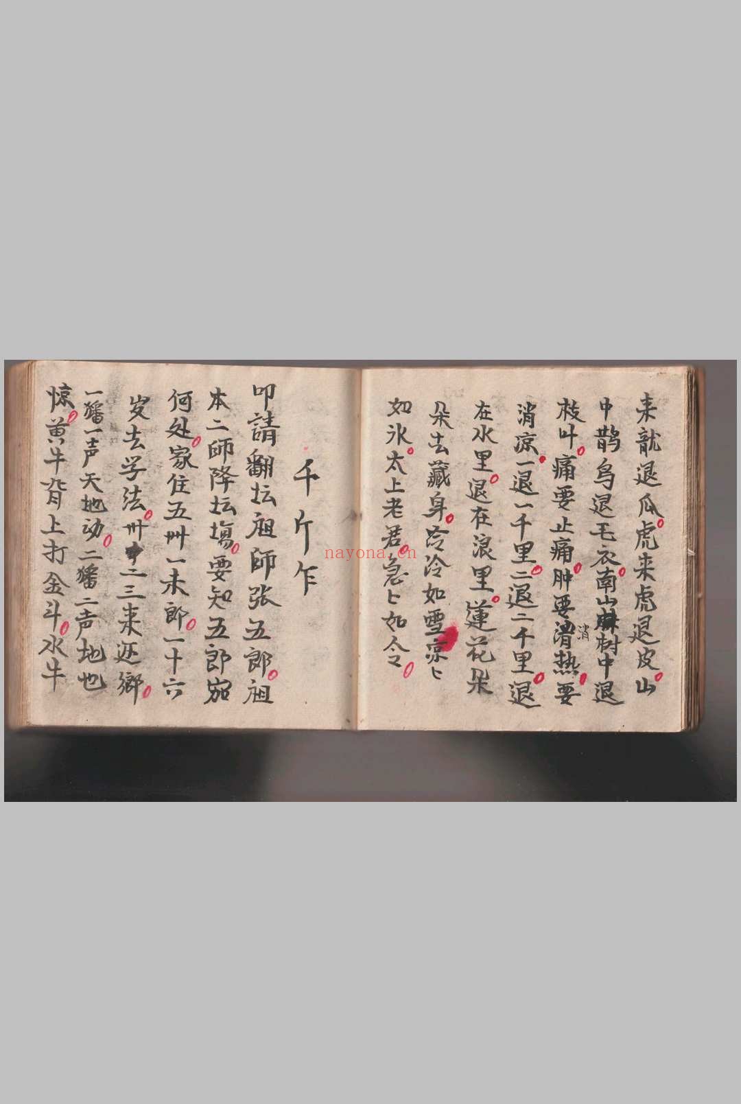 《灵仙神》水师自记