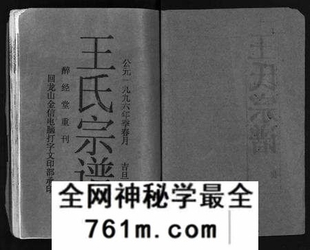 湖北王氏族谱-王氏宗谱 [12卷,首3卷](别名：Wang Shi Zong Pu).pdf电子版