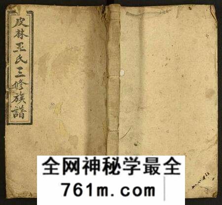 湖南王氏族谱-皮林王氏三修族谱.pdf电子版
