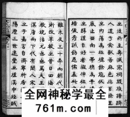 湖北王氏族谱-王氏宗谱[13卷,首3卷](别名：Wong Shi Zu Pu).pdf电子版