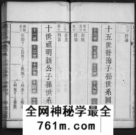 湖北卢氏族谱-卢氏宗谱 [11卷,首1卷](别名：Lu Shi Zong Pu).pdf电子版