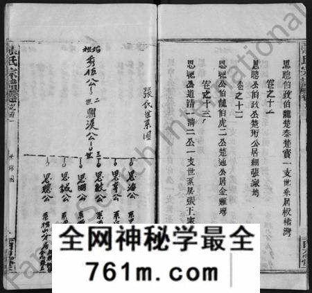 湖北张氏族谱-张氏宗谱 [13卷,首1卷](别名：Zhang Shi Zong Pu).pdf电子版