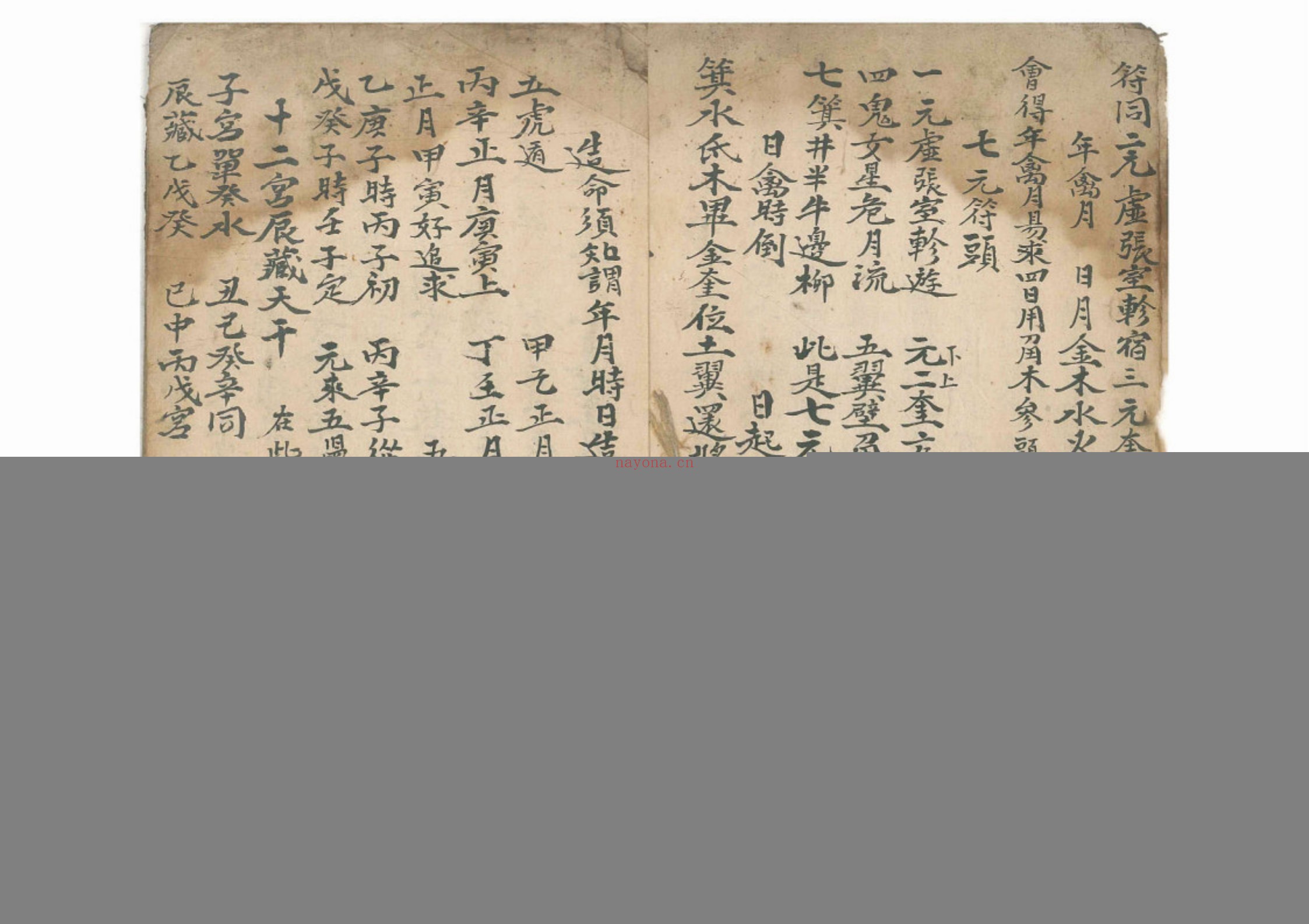 命理律条