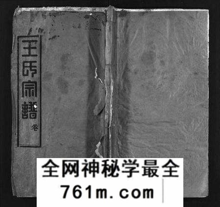 湖北王氏族谱-王氏宗谱 [8卷,首1卷](别名：Wang Shi Zong Pu).pdf电子版