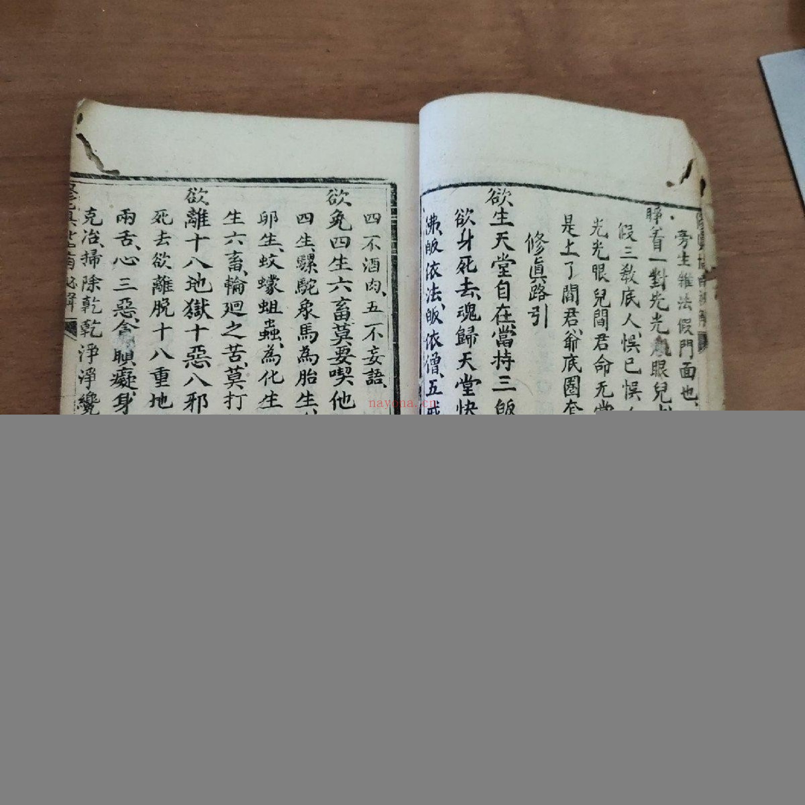 修真指南秘解
