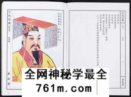 湖北王氏族谱-王氏宗谱[15卷首1卷].pdf电子版