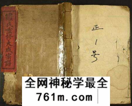 江西罗氏族谱-罗氏重修大成谱.pdf电子版