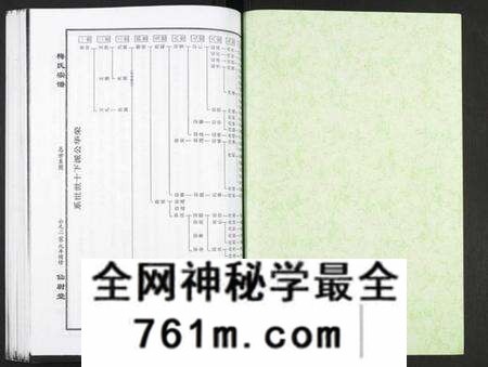 湖北梅氏族谱-梅氏大成宗谱.pdf电子版