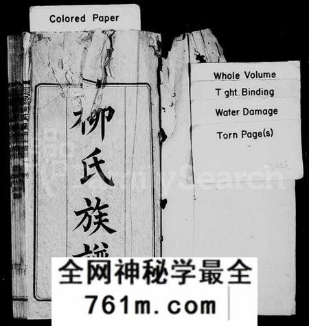 湖南柳氏族谱-柳氏族谱 [27卷,首3卷,末1卷].pdf电子版