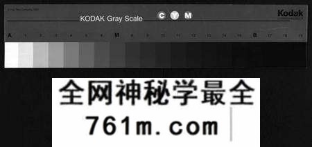 湖北陈氏族谱-义门陈氏宗谱 [5卷,首1卷,总卷1卷,世系9卷](别名：Yi Men Chen Shi Zong Pu、义门陈氏宗谱).pdf电子版
