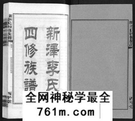 湖南李氏族谱-新泽李氏四修族谱.pdf电子版