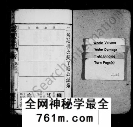 湖南林氏族谱-林氏续修族谱 [存25卷].pdf电子版