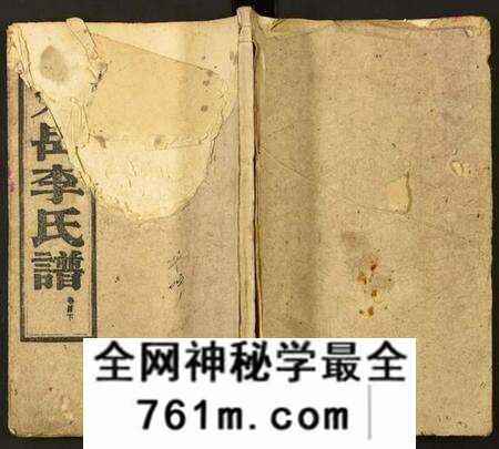 湖南李氏族谱-天岳李氏谱.pdf电子版