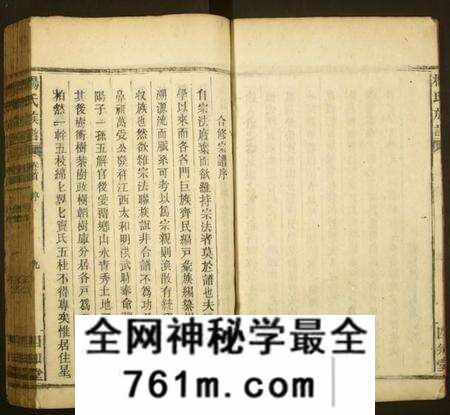 湖南杨氏族谱-杨氏族谱.pdf电子版