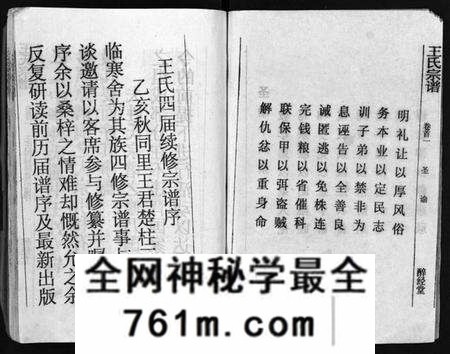 湖北王氏族谱-王氏宗谱 [12卷,首3卷](别名：Wang Shi Zong Pu).pdf电子版