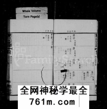 江苏叶氏族谱-叶氏宗谱 [12卷](别名：叶氏家乘、圻里叶氏宗谱).pdf电子版