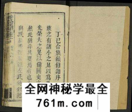 湖北李氏族谱-李氏宗谱 [存18卷, 含西分10卷, 东分5卷, 中分1卷, 细屋分1卷及卷首].pdf电子版