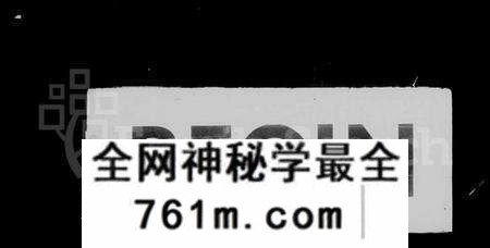 湖南李氏族谱-湖南邵邑李氏族谱 [40卷].pdf电子版