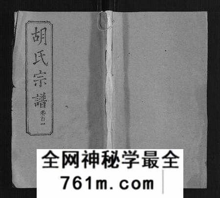 湖北胡氏族谱-胡氏宗谱[28卷首5卷].pdf电子版