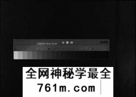 湖北童氏族谱-童氏宗志 [38卷,首4卷](别名：Tong Shi Zong Zhi).pdf电子版